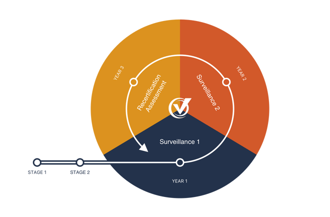 annual-surveillance@2x